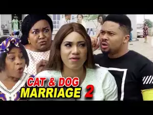 Cat & Dog Marriage Season 2