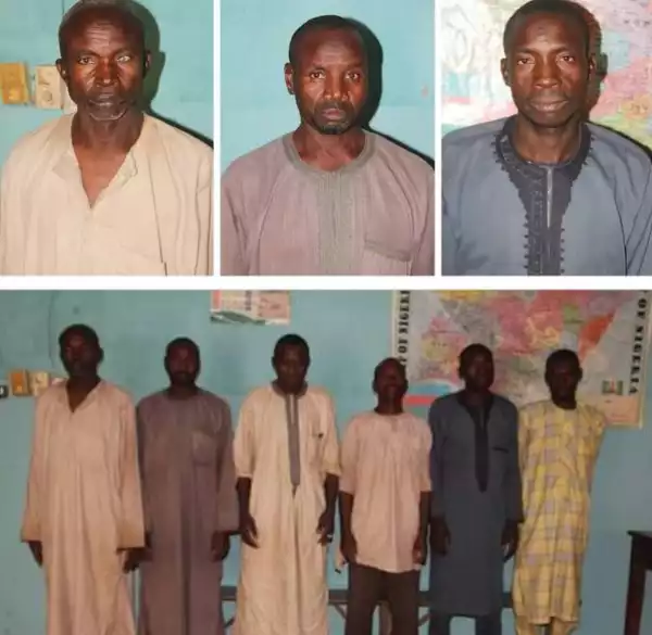 Six Suspects Arrested For R*ping 12-year-old Girl In Bauchi