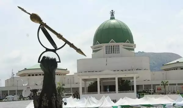 Terror Threat: National Assembly Commences Stop And Search