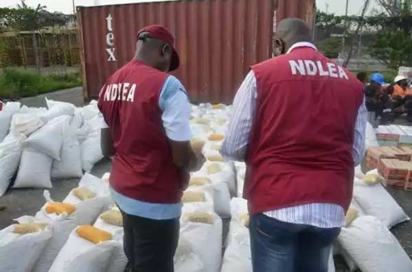 NDLEA Seizes 7.8 Tonnes Of Narcotics In Kano