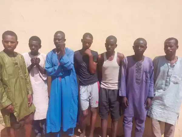 Photo Of 7 Men Nabbed Over Kidnapping In Adamawa