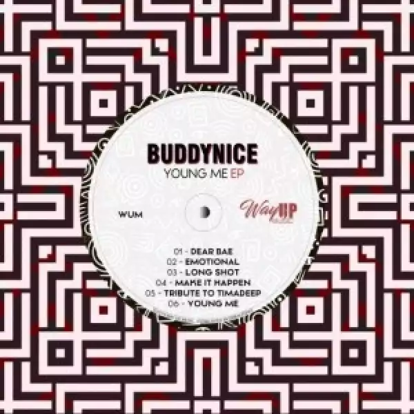 Buddynice – Tribute to TimAdeep (Redemial Mix)