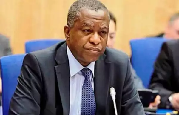 Buhari’s Foreign Trips Not Enough – Minister Of Foreign Affairs, Geoffrey Onyeama