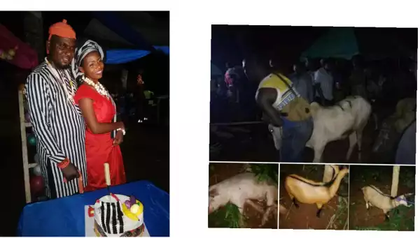 "My in-laws deserve more than this" - Benue groom shows off cow, goats and pig he gave his Igbo wife