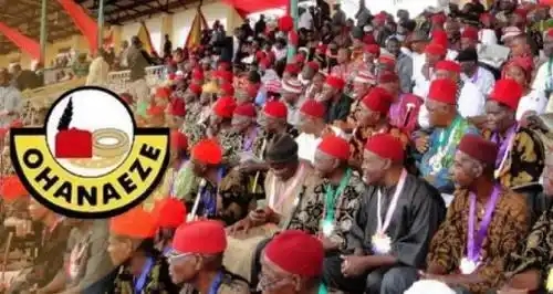 Ohanaeze: No Igbo Politician Should Run As Vice-presidential Candidate In 2023