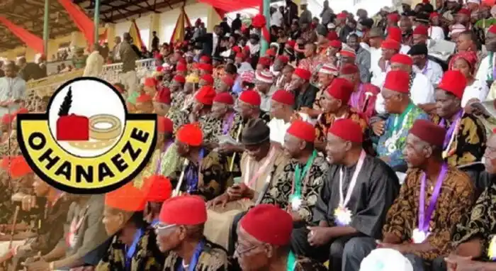 Enemies Of Igbos Don’t Want A President From South-east – Ohanaeze Alleges