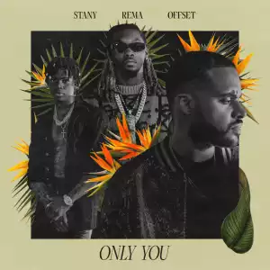STANY, Rema & Offset – Only You (Instrumental)