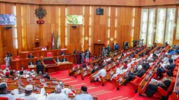 Senate Reveals When It Will Take Action On Electoral Bill