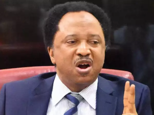 Shehu Sani Reacts As FG Admits Purchasing Vehicles Worth N1.145 Billion For Niger Republic