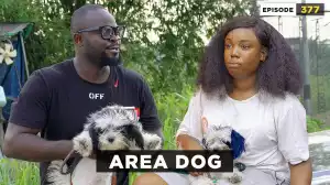 Mark Angel – Area Dog (Episode 377) (Comedy Video)