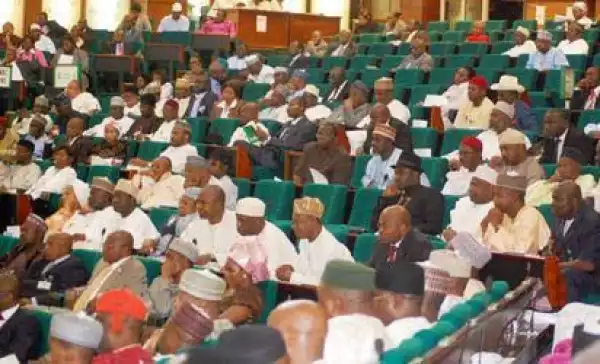 National Assembly, Stop Approving Buhari’s Loans - Punch Editorial
