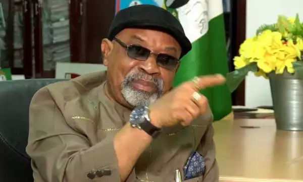 Zoning Presidency To The South Will End Agitation – Chris Ngige