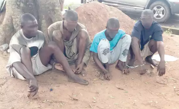 Societal rejection and hunger pushed me to join armed robbery gang after release from prison — Suspect