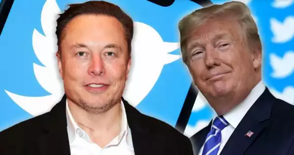 Elon Musk Asks Twitter Users To Vote On Reinstatement Of Donald Trump