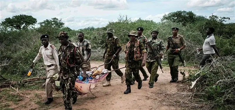 Police investigating Kenyan cult find 26 more bodies