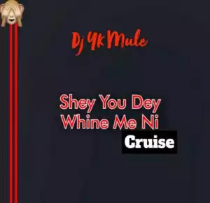 DJ YK Mule – Shey You Dey Whine Me Ni