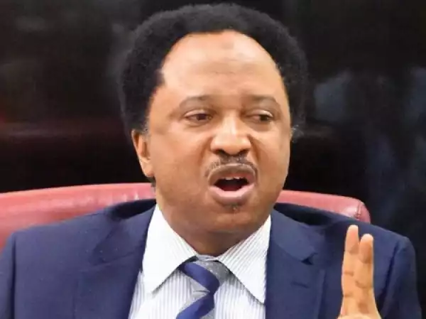 Caution Govt Officials Against Hiring Private Jets to Visit You – Shehu Sani