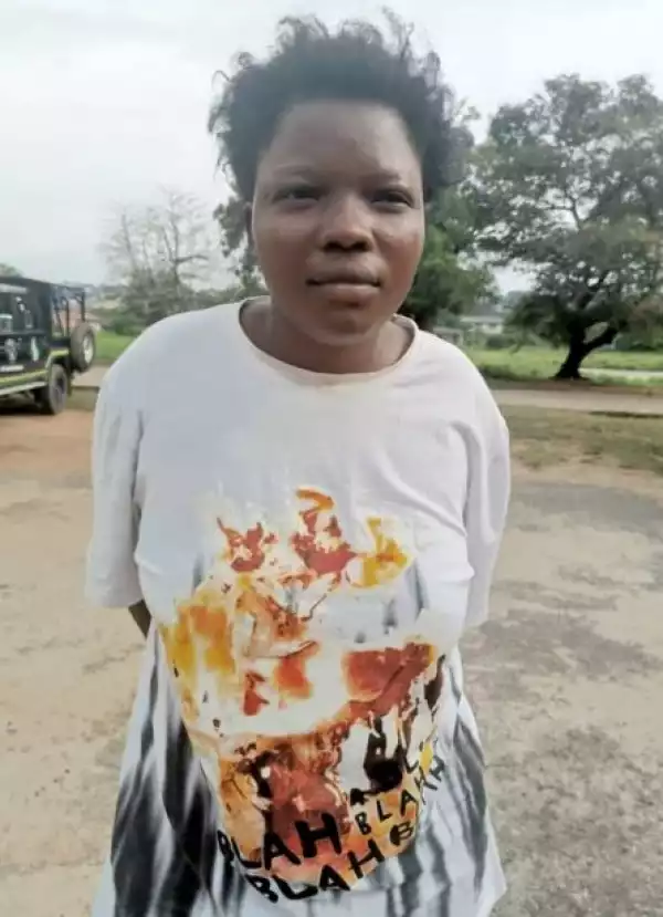 Police Arrest Woman Who Absconded With 3-day-old Baby In Ibadan