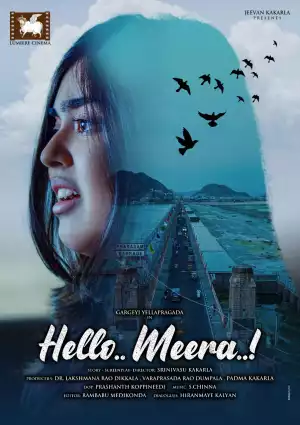 Hello Meera (2023) [Hindi]
