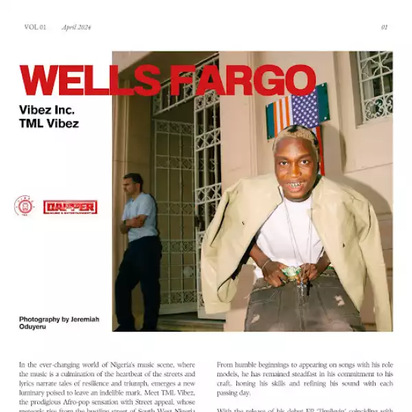 Vibez Inc & Tml Vibez – Wells Fargo