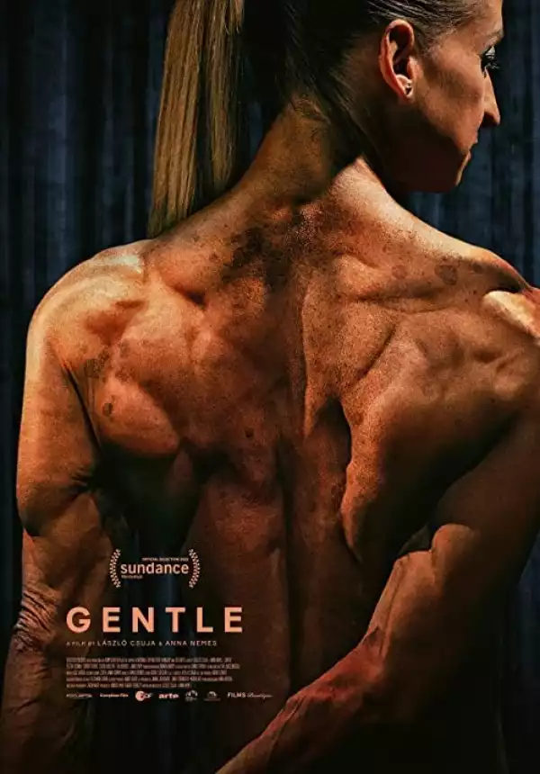 Gentle (2022) [Hungarian]