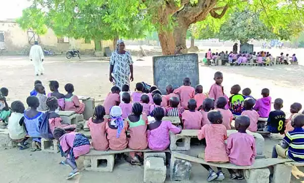 Gombe Students Still Study Under Trees – Governorship Candidate