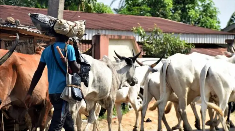 Herdsmen lament low patronage amid naira scarcity