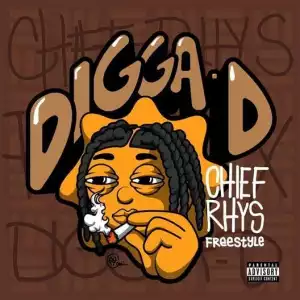 Digga D – Chief Rhys Freestyle (Instrumental)