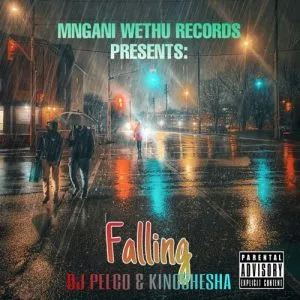 Dj Pelco & Kingshesha – Falling