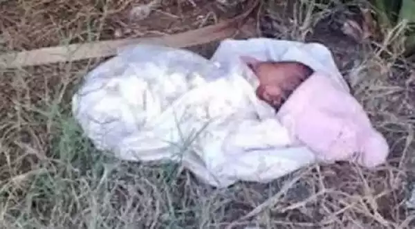 Man Finds Newborn Baby Dumped Inside Bush In Abuja