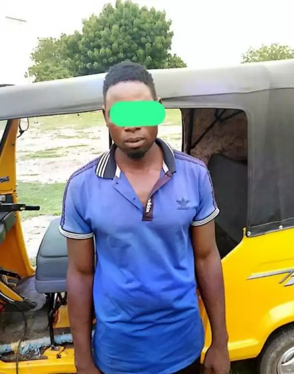 Man Arrested With Stolen Tricycle In Adamawa