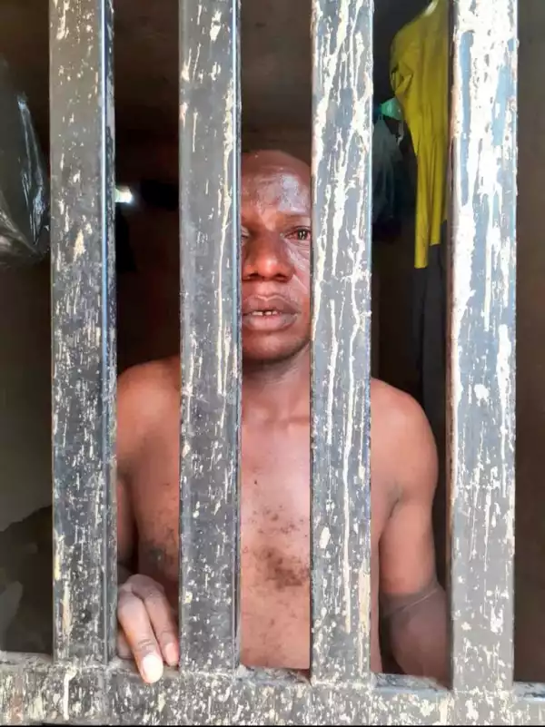 JUST IN!!! Police Nabs Medical Doctor, 4 Others For Alleged Child Trafficking In Imo