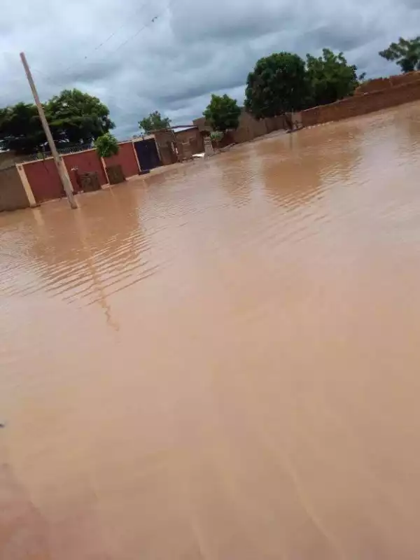 Five killed, two missing, property destroyed as flood wreak havoc in Yobe (photos)