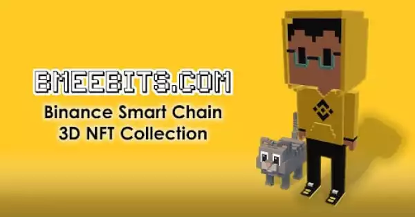 The BMeebits.com Collection of 3D NFT Models on the Binance Smart Chain was Sold Out in 12 hours