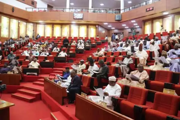 Disorder In Senate Over PMB Request To Approve N23.7trn Extra-budgetary Money