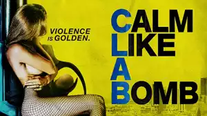 Calm Like a Bomb (2021)
