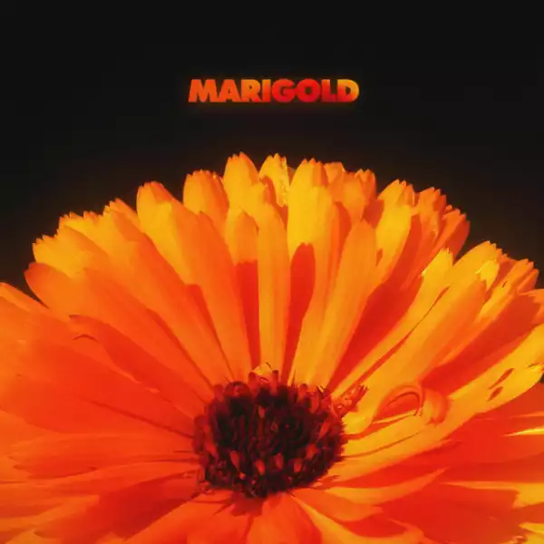 Alex Isley Feat. Bas & Robert Glasper - Marigold (EP)