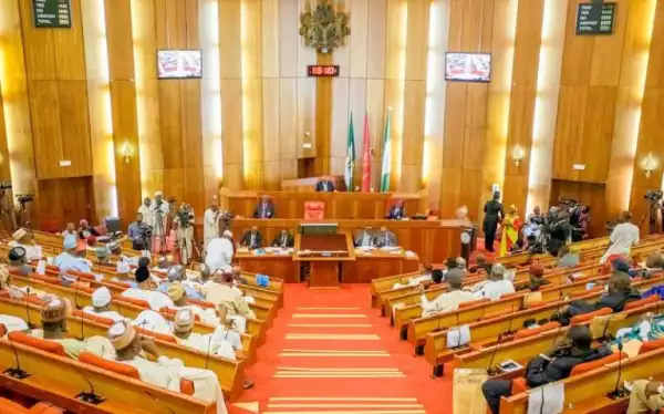 Senate Rejects Nnamdi Anyaechie, National Assembly Commission Nominee