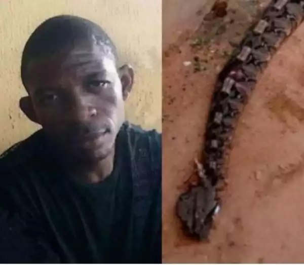 Man Bitten By Snake Dies After Being Taken To Herbalist In Umuahia (Photos)
