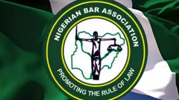 Judiciary Workers End Two-month Strike Too Early – NBA Reveals