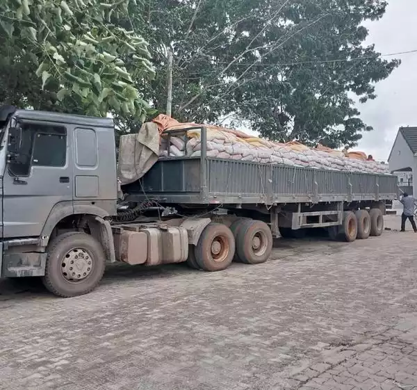 Customs Impound Two Dangote TrucksWith 300 Bags Of Of Foreign Rice In Ogun