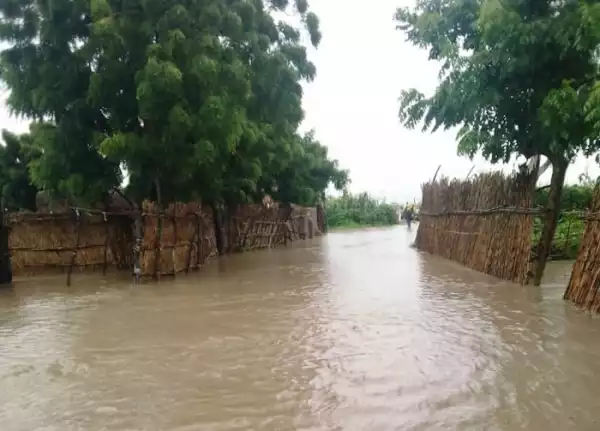 SO SAD!! Family Loses 4 Members Including Infant To Flood In Yobe