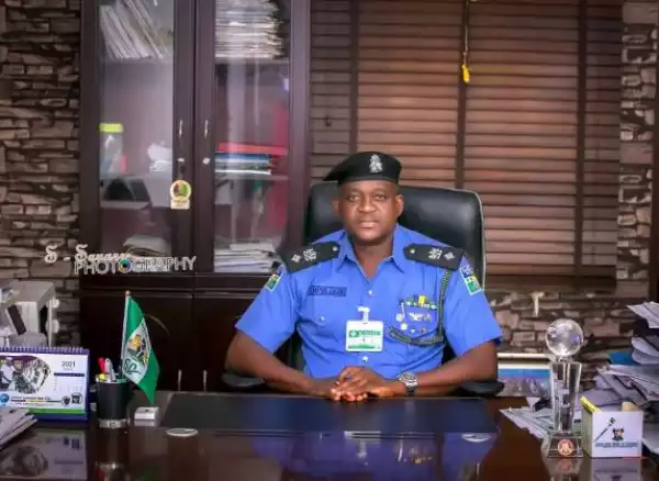 You Have No Right To Respond If A Policeman In Uniform Slaps You - Force PRO Tells Nigerians