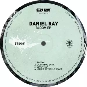 Daniel Ray – Counting Ships