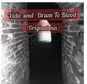 Vida-soul – Drum To Blood (Original Mix)