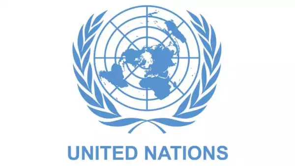 UN donates $20m to address food security in North East
