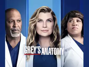 Greys Anatomy S18E17