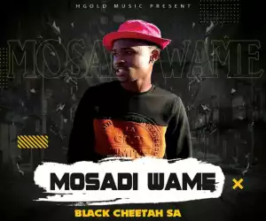 Black Cheetah SA – Mosadi Wame