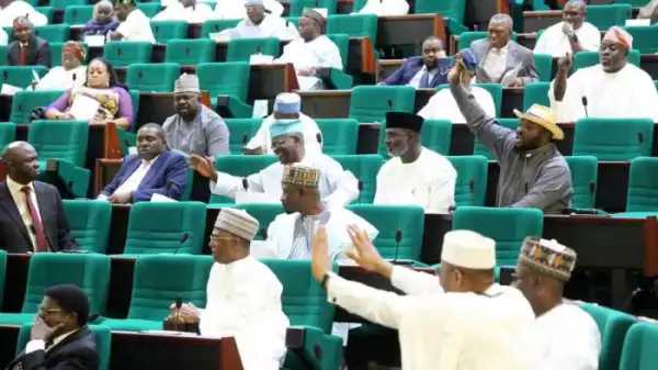 Opposition Kicks As Reps Approve ₦2.3 Trillion Fresh Loan For Buhari