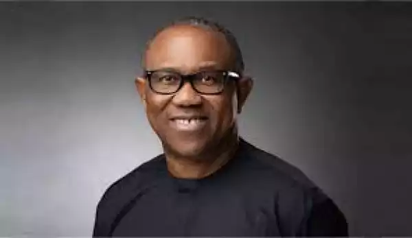 Peter Obi Questioned On Why He Invested $30m State Funds In His Family Business